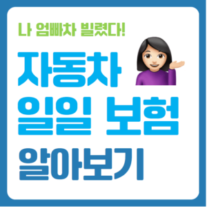 부모님 자동차 일일 보험 총정리